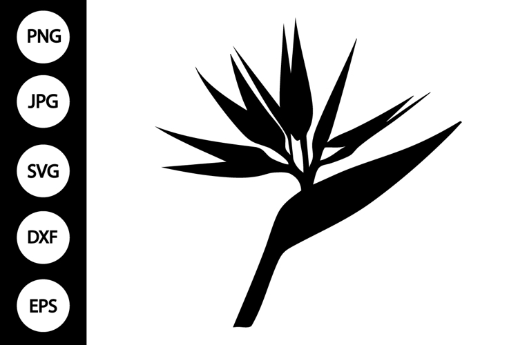 Bird Silhouettes Image 22