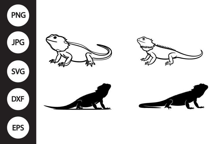 bearded dragon clipart