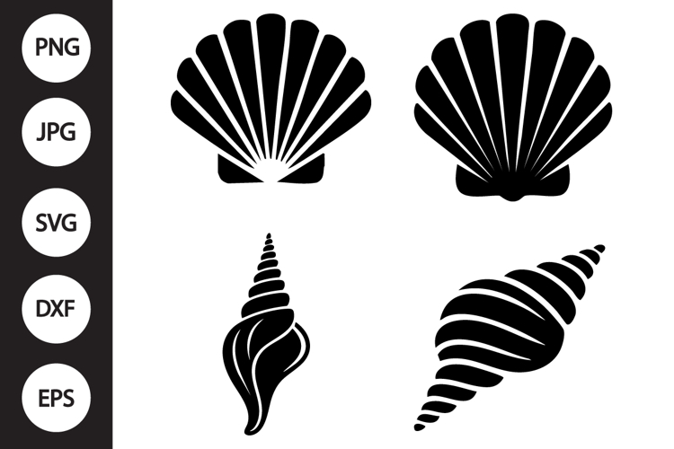 Seashell Vector