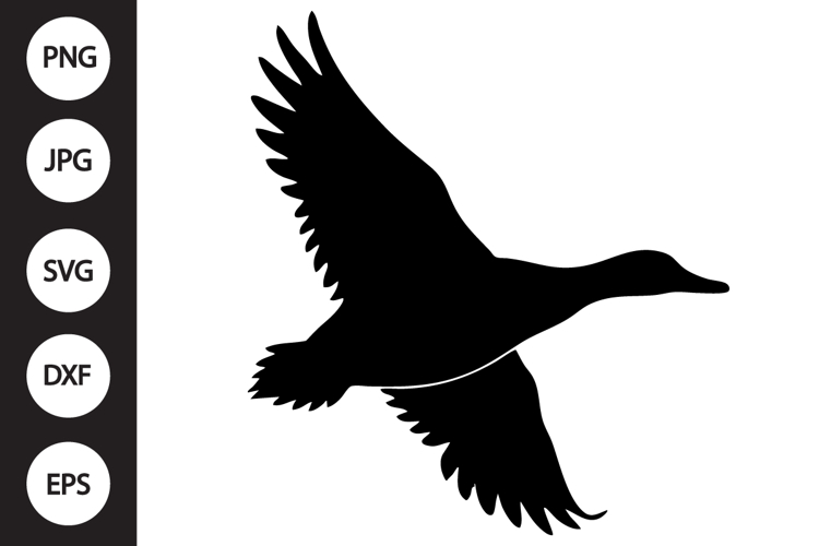 Flying Mallard Duck SVG