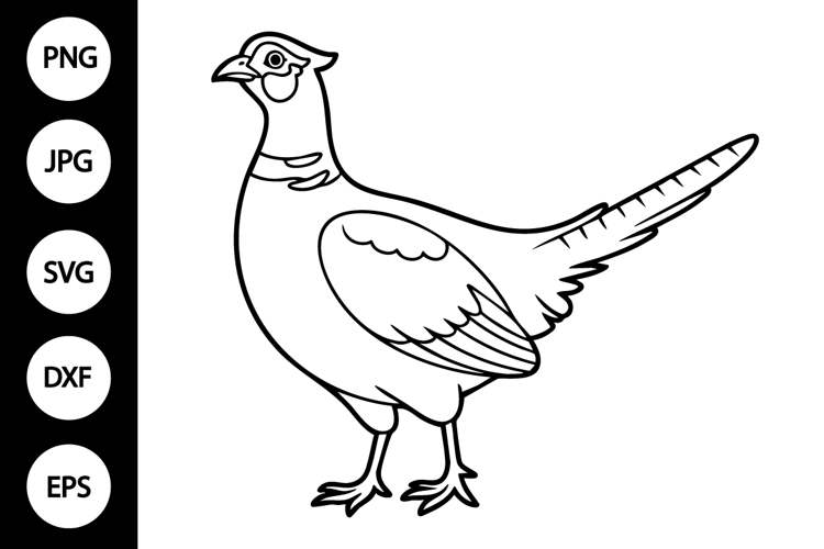 Pheasant Outline SVG, Coloring Page