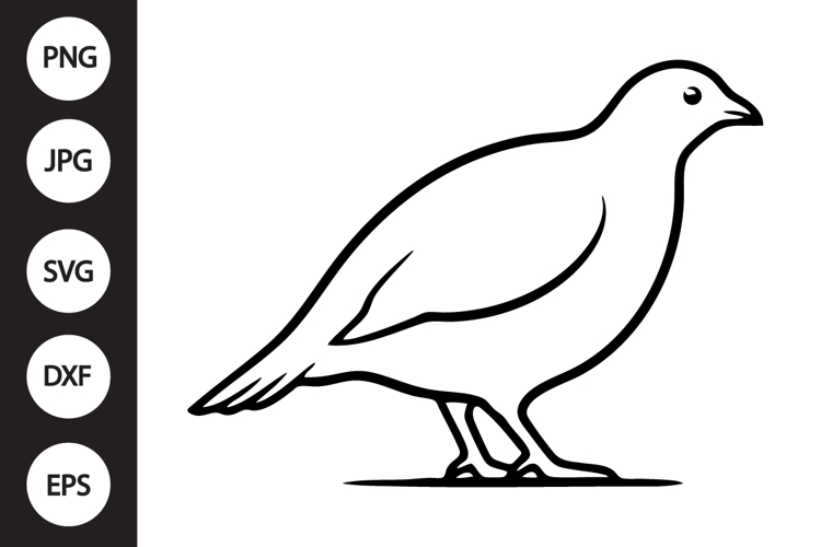 Partridge Bird SVG