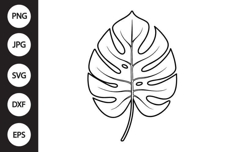 Monstera Leaf Clipart Image 5