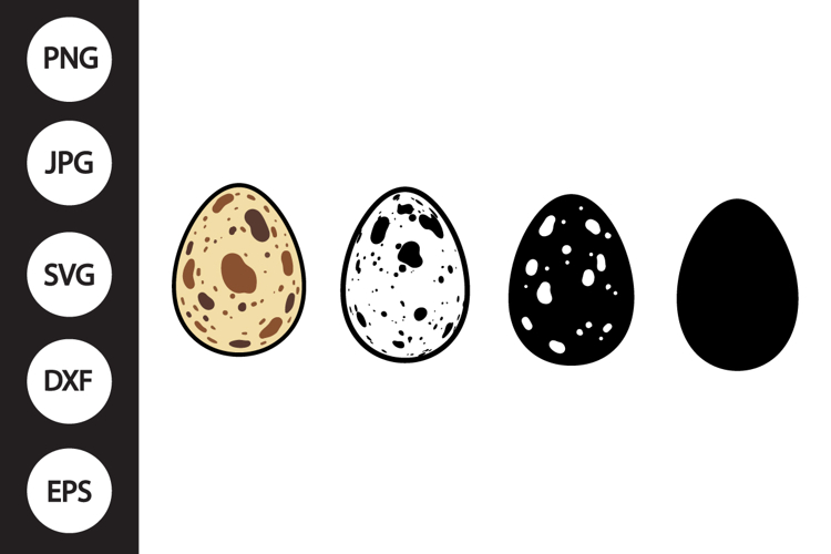 Egg Vector Image 15