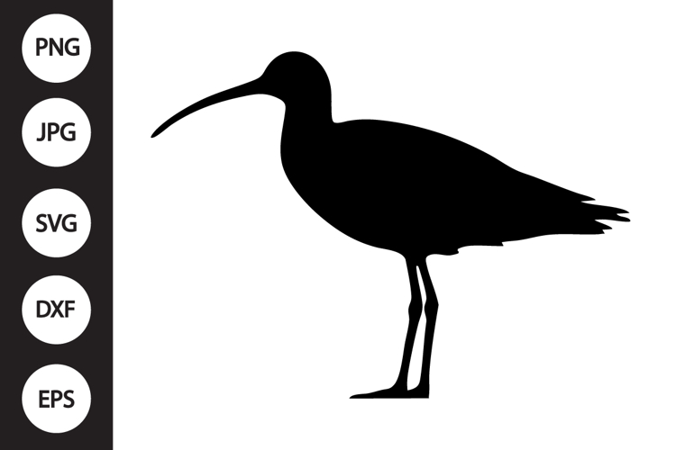 Eastern Curlew Bird SVG