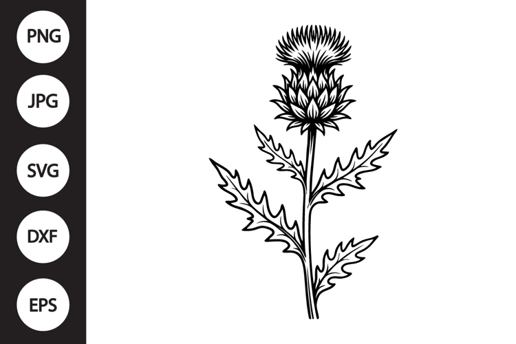 Scottish Thistle SVG example image 1