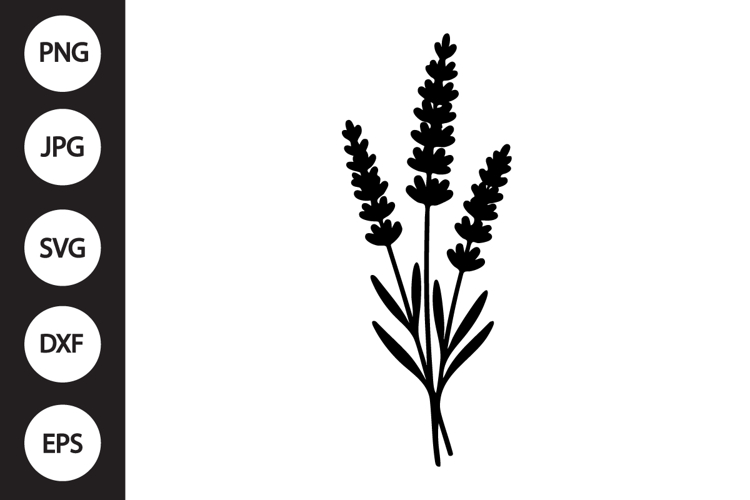 Lavender SVG
