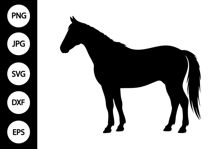 Horse Silhouette Svg Image 8