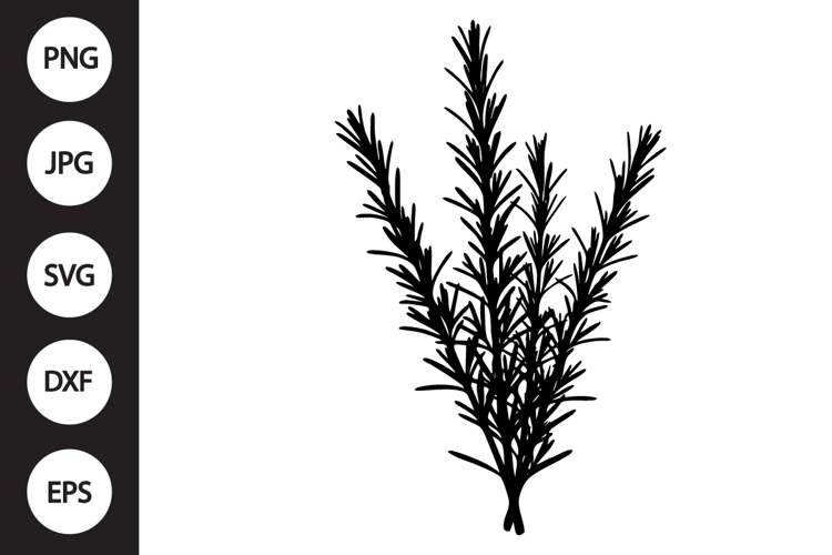 Rosemary Clipart Image 3