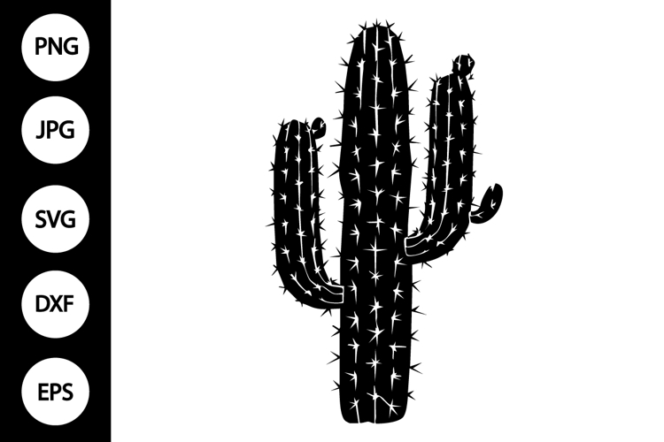 Cactus Silhouettes Image 15