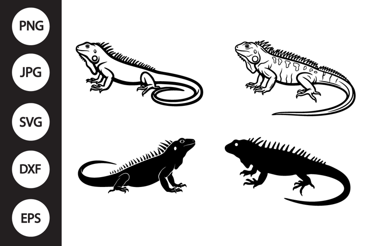 Iguana Clipart