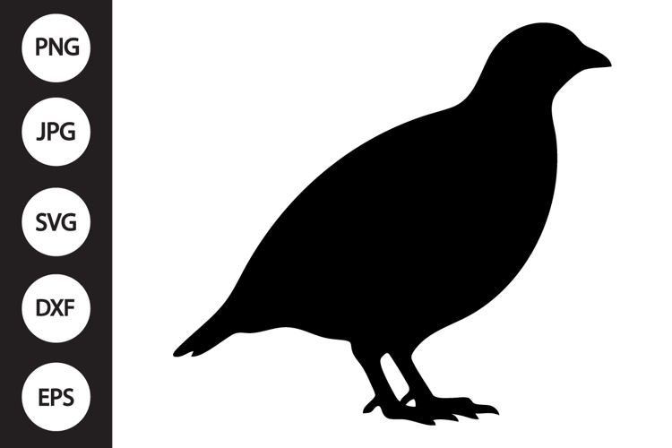 Partridge Bird SVG