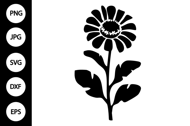 Silhouette Zinnia SVG