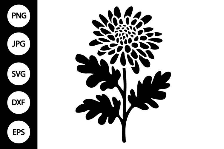 Silhouette Chrysanthemum Flower SVG