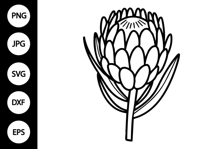 Flower Outline Clipart Image 23