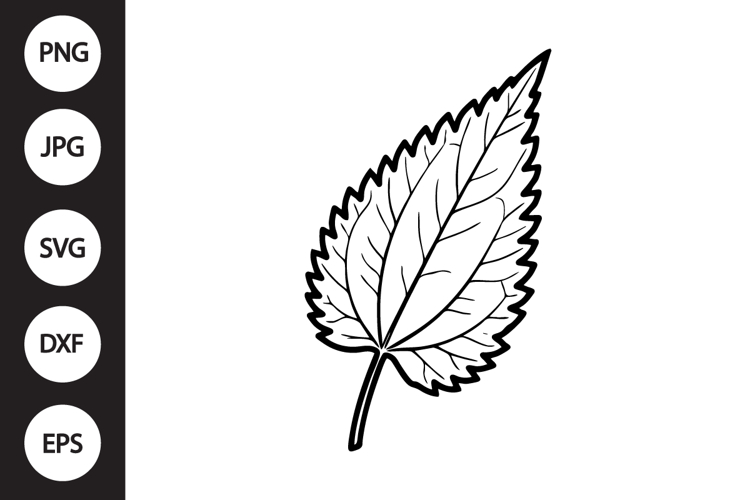 Nettle Leaf SVG example image 1