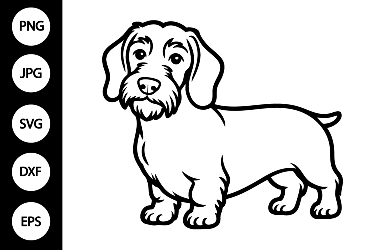 Wirehaired Dachshund Dog Outline SVG