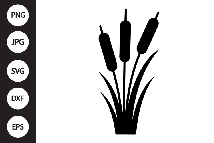 Cattail SVG