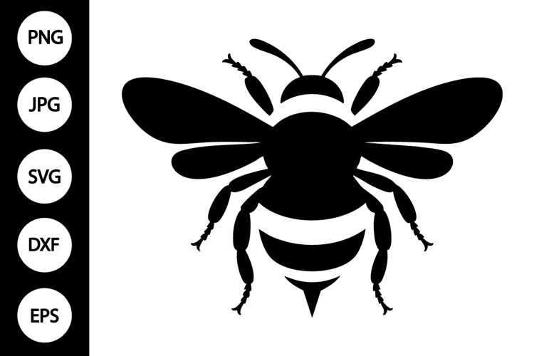 Bumblebee SVGs Image 3