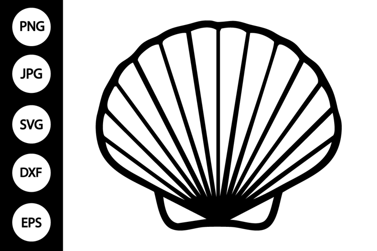 Seashell Outline SVG
