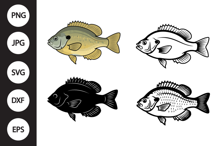 Bluegill Panfish SVG, Bluegill Panfish Clipart