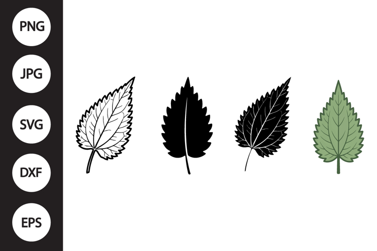 Nettle Leaf SVG, Nettle Leaf Clipart example image 1