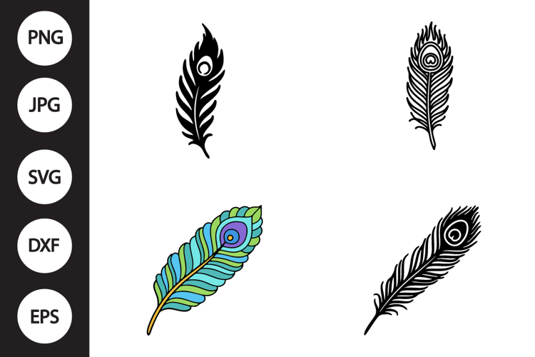 Peacock Feather SVG, Peacock Feather Clipart