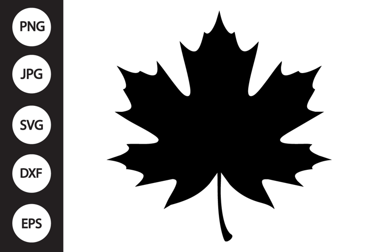 Leaf Clipart Image 14