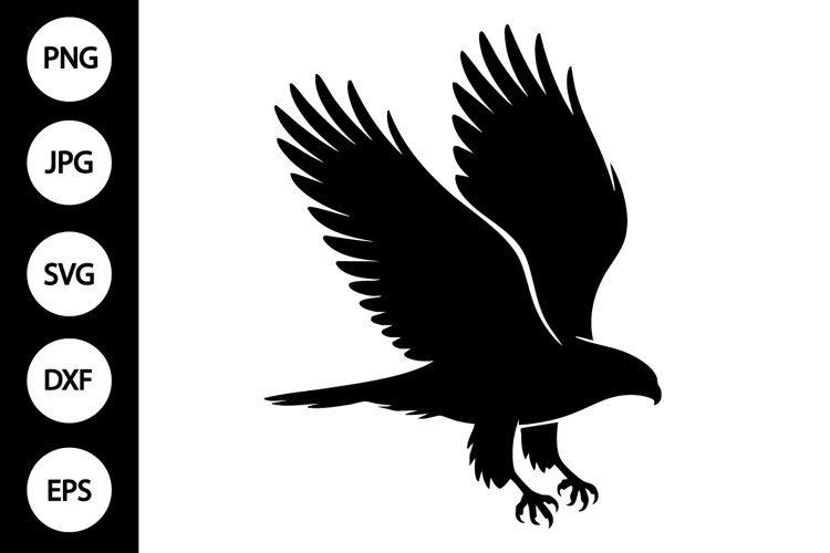 Hawk Clipart Image 11