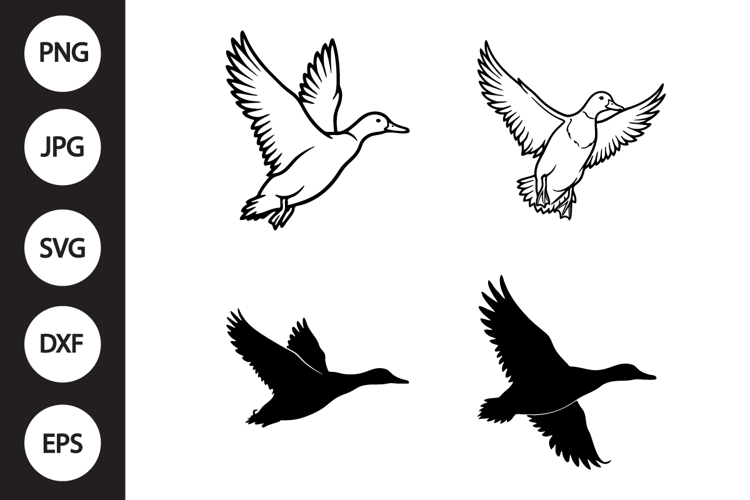 Flying Mallard Duck SVG, Flying Mallard Duck Clipart