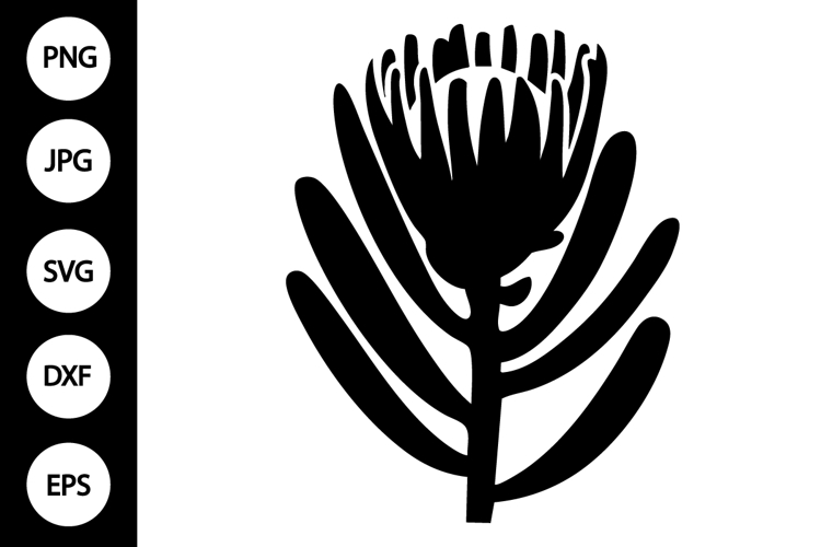 Flower Silhouette Image 3