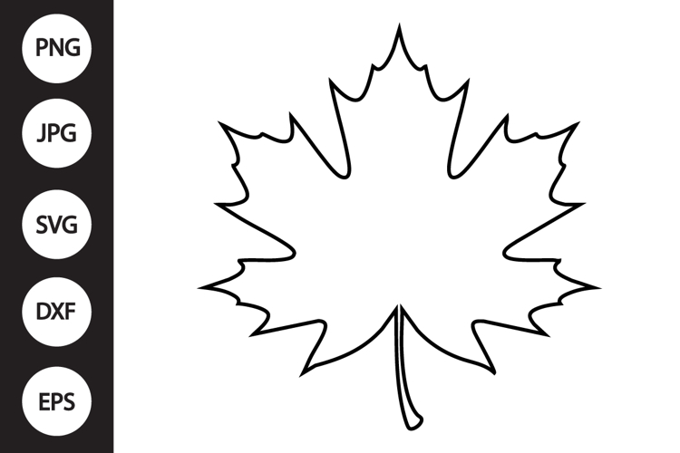 Leaf Clipart Image 13