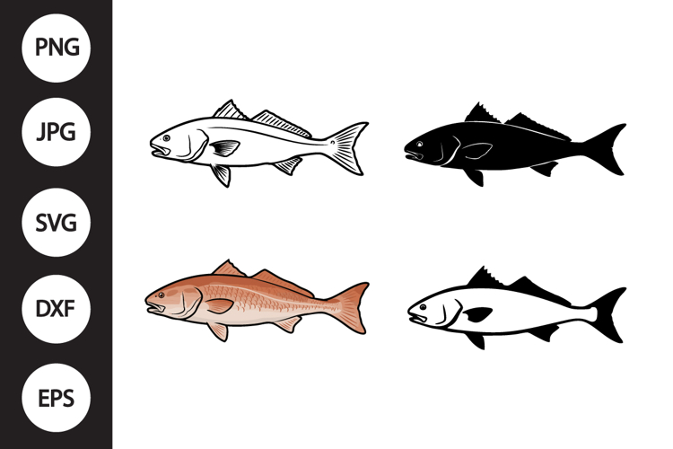 Redfish SVG, Redfish Clipart example image 1