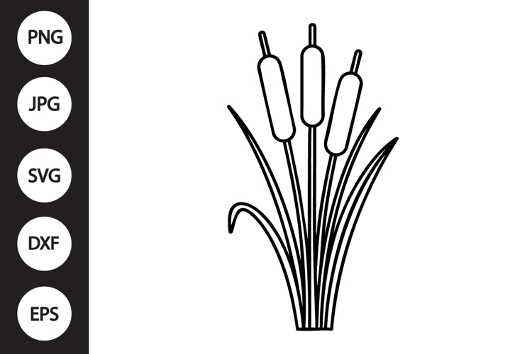 Cattail SVG