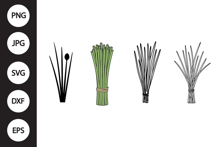Chives SVG, Chives Clipart