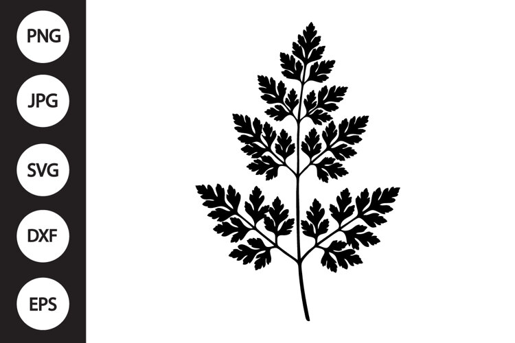 Chervil Herb SVG example image 1