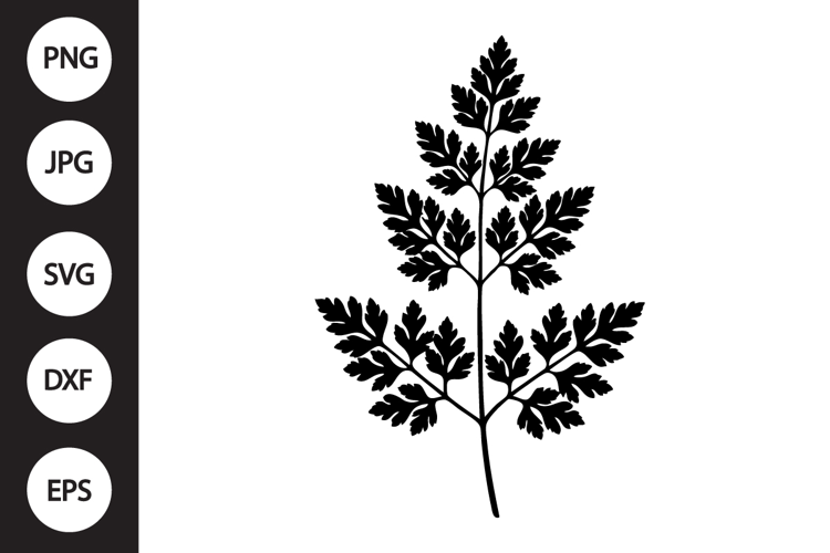 Chervil Herb SVG