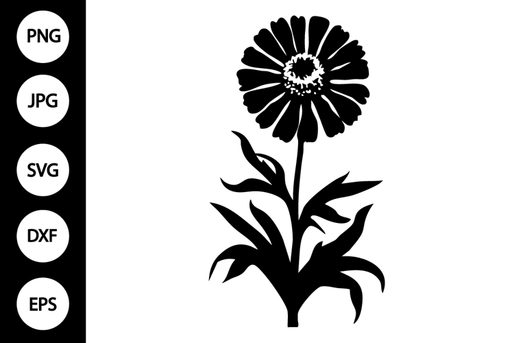 Silhouette Zinnia SVG