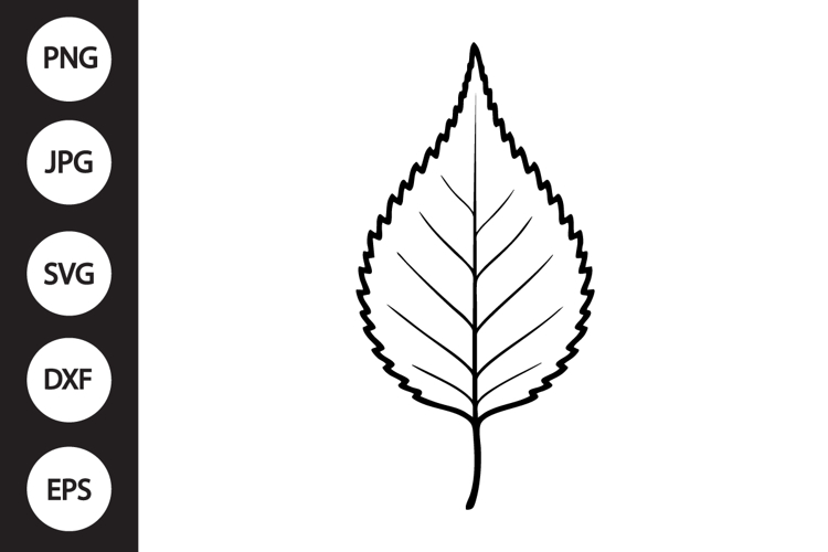 Birch Leaf SVG