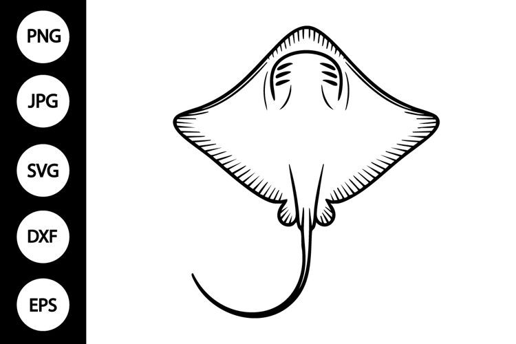 Stingray Outline SVG, Coloring Page