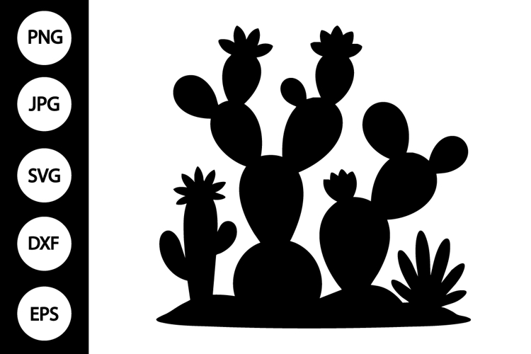 Cactus Clipart Image 14