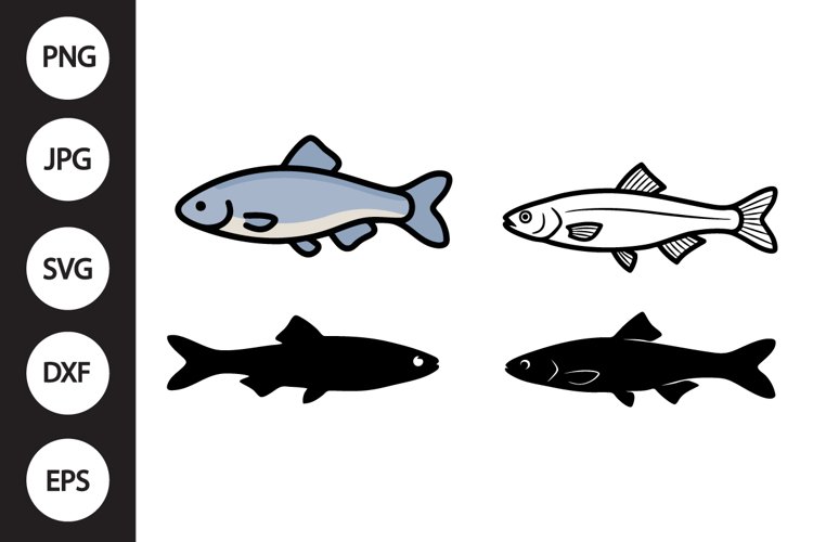 Fish Vector Image 7