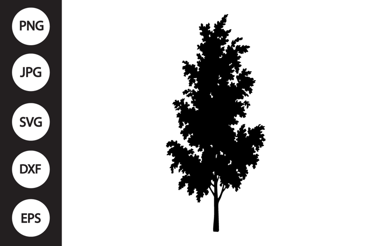 Birch Tree SVG