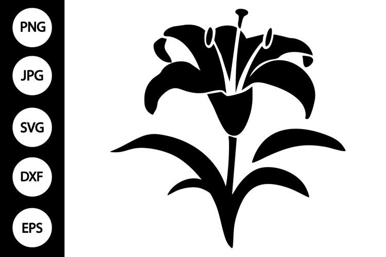 Lily Silhouette Image 5