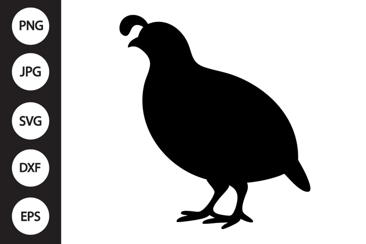 Quail Silhouette SVG
