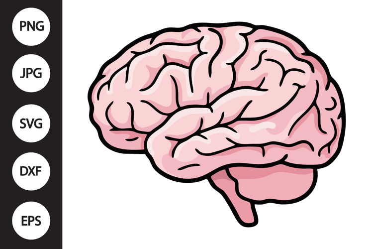 Human Brain SVG