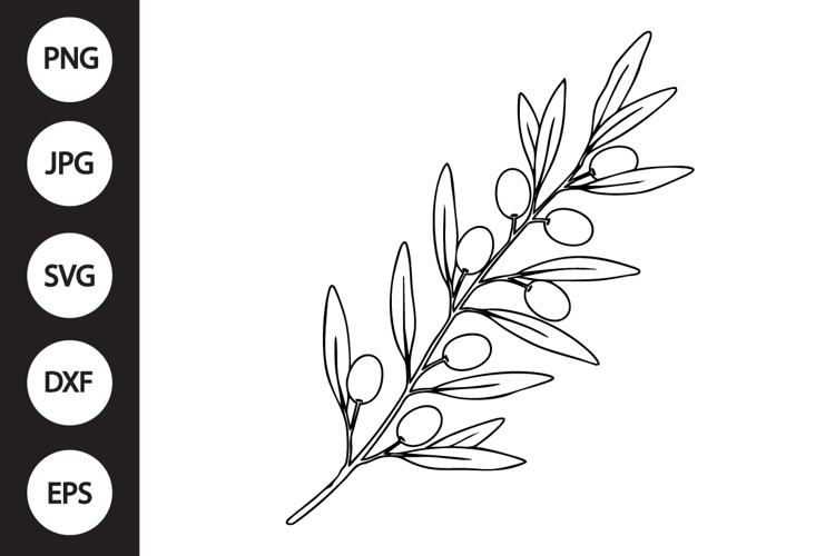 Olive Branch Clipart Image 5