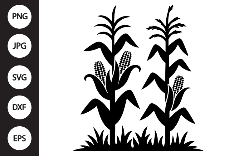 Corn Stalks SVG