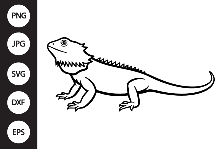 bearded dragon clipart Image 4