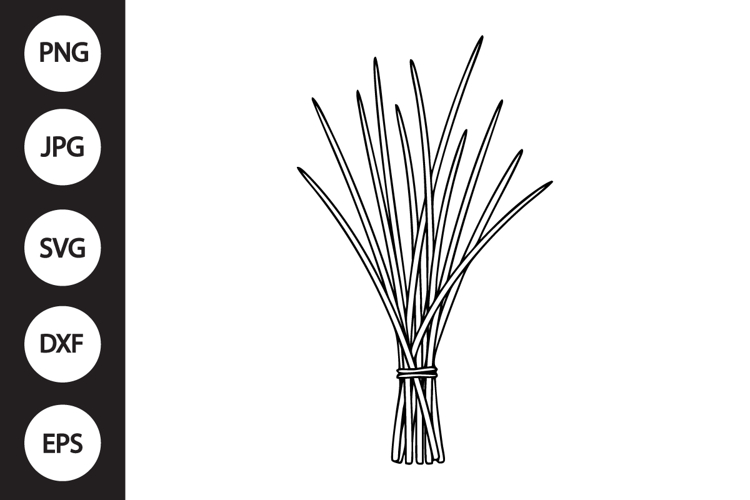 Chives SVG